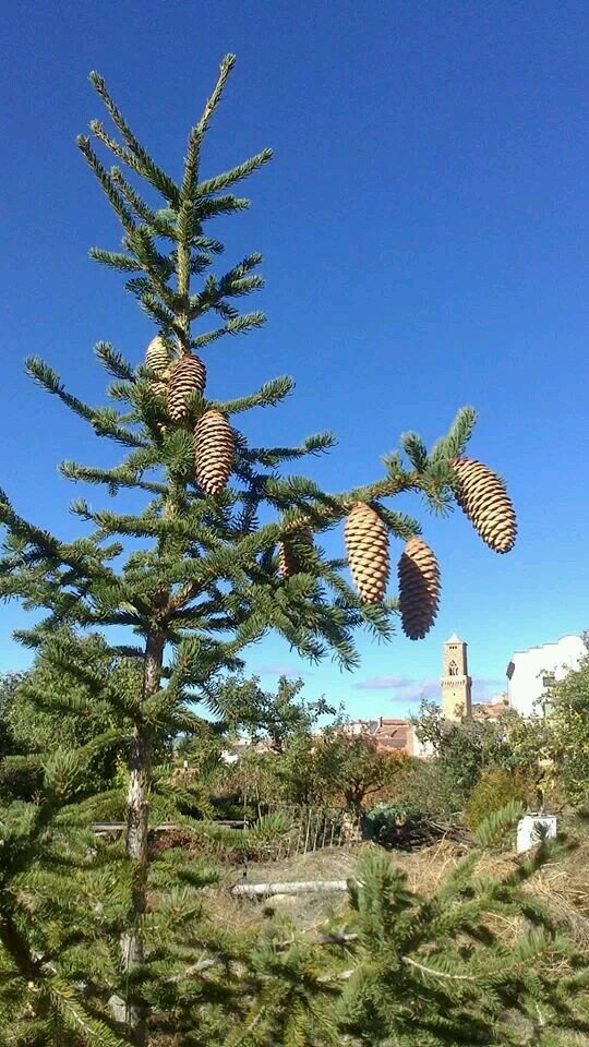 jmjn1942's profile picture. 