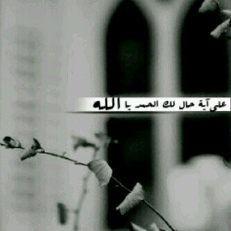 ليس كل ما ارسله حكايه عن وآقعي أنما هي كلمات راقت لي ~~
سبحآن الله وبحمده سبحآان الله العظيم ♡ ♡