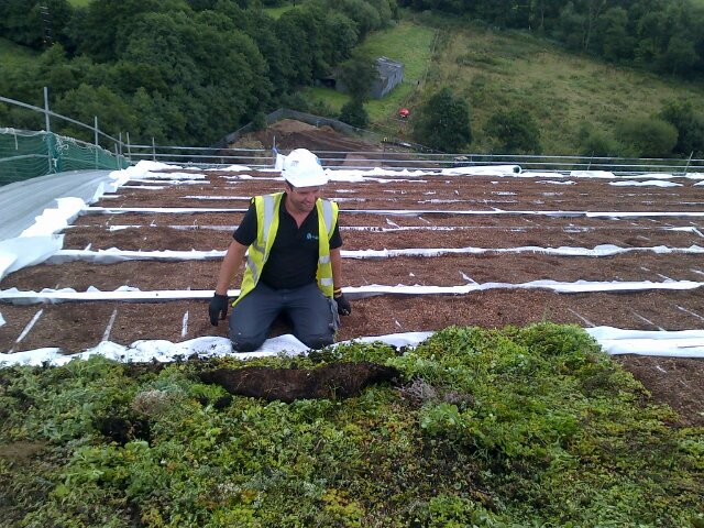 skymikegarden's profile picture. Director of Operations - Health & Safety Advisor - Sky Garden Ltd