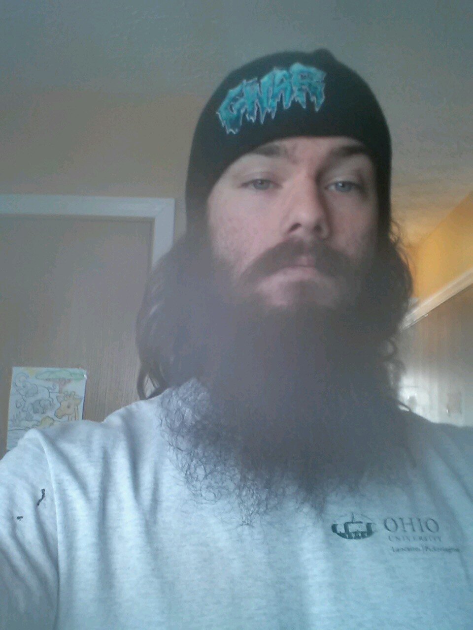 The bastards have landed