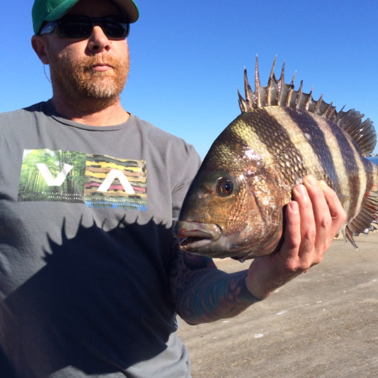 Mike_Valin's profile picture. Fish Monger & Specialty grocer