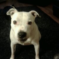 Graham Hewitt (@gcchewitt) 's Twitter Profile Photo Graham Hewitt (@gcchewitt) 's Twitter Profile Photo