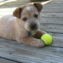 Dylan Padgett - @WTK2014FTW - Twitter