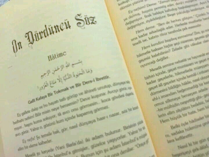 betlll11's profile picture. 