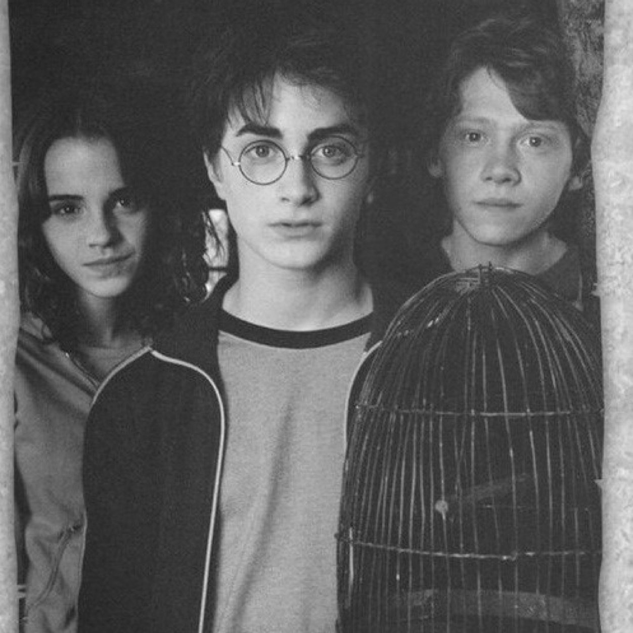 POTTERHEAD❤️⚡️❤️⚡️SDV