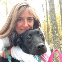 Taylor Bell (@tbfalls) 's Twitter Profile