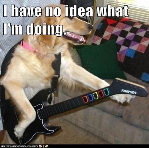 OpenPulseMelody's profile picture. A daily songwriting project open to musicians for free listening, inspiration, and use. Explore. Rewrite. Sample. Enjoy. Mock. As you see fit. By @derekbryan144