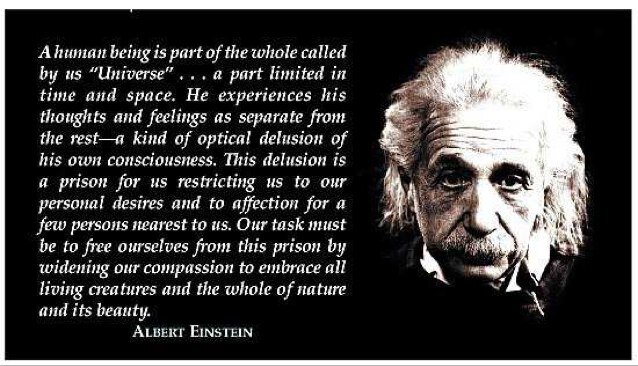 We strive for a Better World for All. Freedom for Palestine. End of Poverty. #FreePalestine #BDS #Followback.