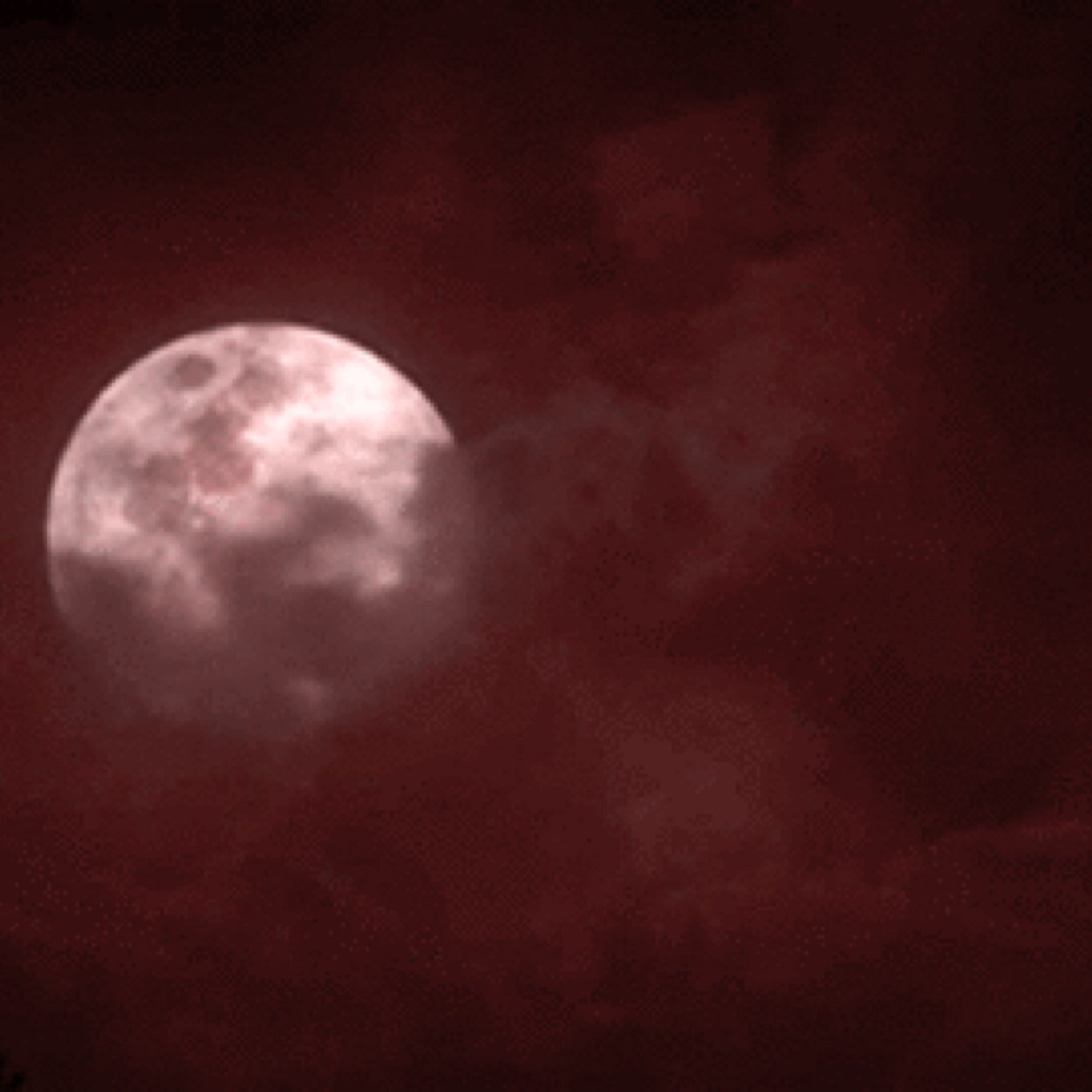 All things happening in the little town of Beacon Hills. RP/FL NEWS STATION.