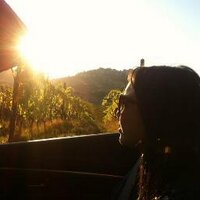 Michelle Toy (@michelletoysf) 's Twitter Profile