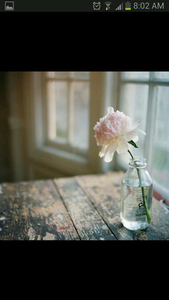 1396_moon's profile picture. ‏‏اللهم اني اسالك الانس بقربك