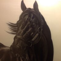 Robert Boni (@nwbloodstock) 's Twitter Profile
