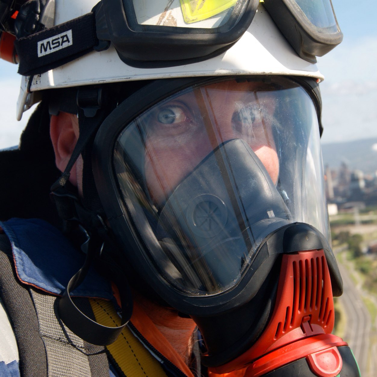 caddy_andy's profile picture. 