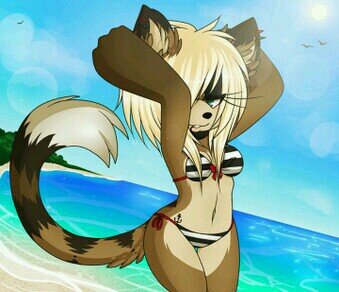 cat_chrissy's profile picture. ¢няιѕѕу/¢αт/19/fєвяυαяу 20/тαкєи/ι ∂σи'т ℓιкє ωαιтιиg/∂αfт ρυик/∂σи'т ℓιкє му α¢¢συит,∂σи'т fσℓℓσω/ιм αℓѕσ α ναмρ¢αт/му вαву gιяℓ αяι