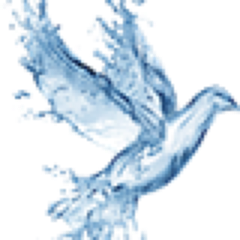 LifeforceVideo's profile picture. Lifeforce Videos…..
Where knowledge meets better living