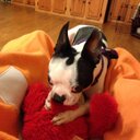 Tootie Johnson - @tootieutfan - Twitter