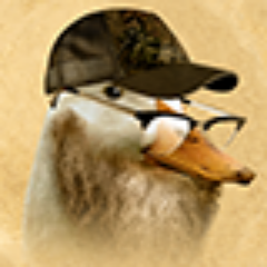 duckduckcoin's profile picture. 