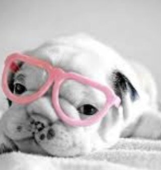 I love cute pictures so I got this account so that I can put on lol cute pictures'x