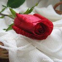 simo (@0656142931) Twitter