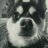 LokiPayne's profile image