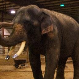 okbeerman1's profile picture. 