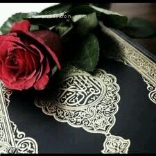 aacm742's profile picture. الحَياةّ أجمَل عِندَما نَحمد الله , عَلى مَا ذَهب منَا ؛ وَ مَا بَقىّ لدينَا ؛ وَ مَا سَيأتِي إلينا