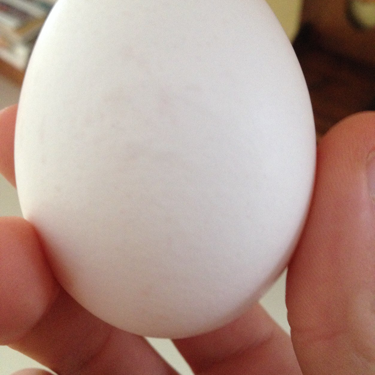 ky_kins13's profile picture. Just hanging out and trying to stay young