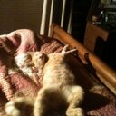 Barbara Thomason - @ZaknnatThomason - Twitter