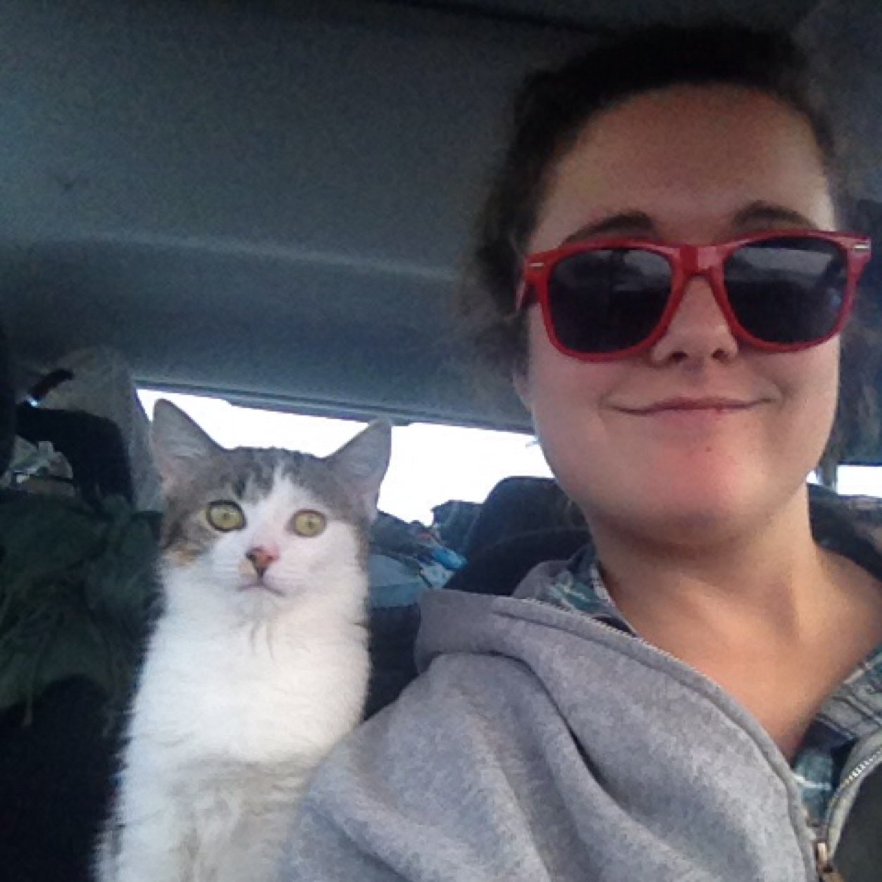 BBBriley's profile picture. A big booty bitch who enjoys word games and nude recreation.