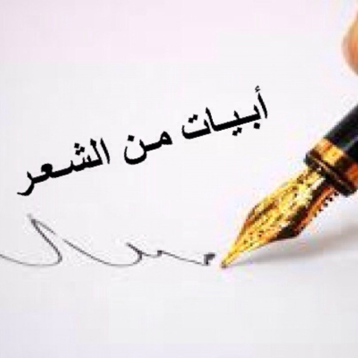 اغرد بما يروق لى وللمتابع