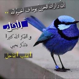 bakir3001's profile picture. انا انسان احب الخير لكل الناس