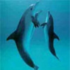 lalela9's profile picture. Inspirator, Nexus for all good things and peeps, trendspotter, health and wealth maven