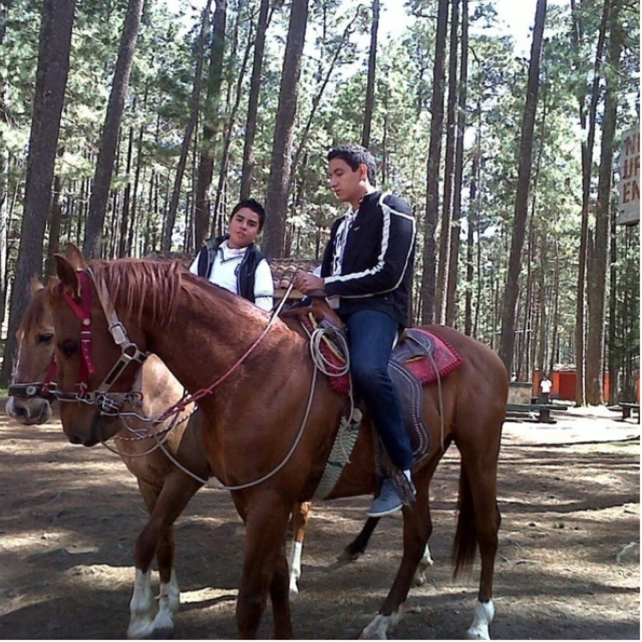 JesusMacosai's profile picture. 20/08/13 No hay distancia grandes para el amor. @_AnnyMontoya