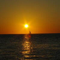 Debbie Aufleger (@daufleger) 's Twitter Profile