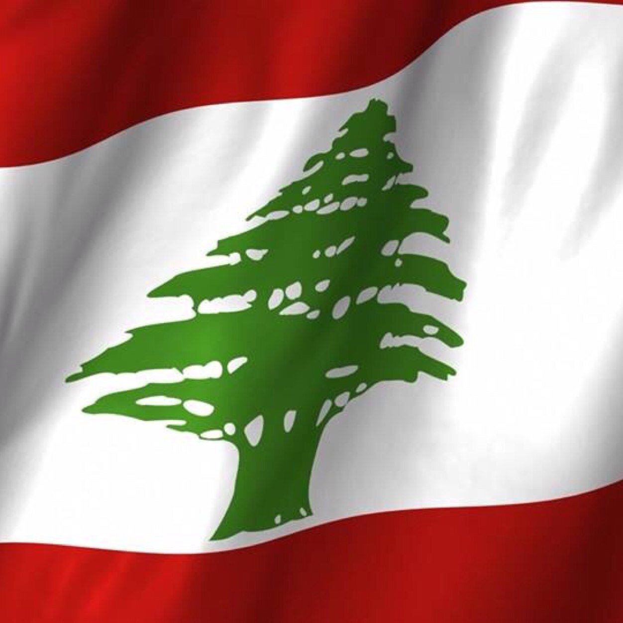 AntoineKassis's profile picture. Owner of eng company, interest lebanese politics