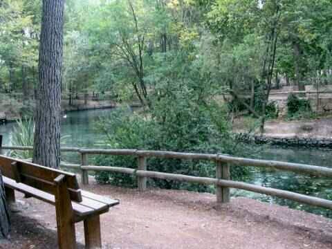 vidaanonimablog's profile picture. Blog personal de una vida anónima que quiere contarle al mundo sus ideas, sentimientos, sus opiniones, y sobretodo, sus pensamientos.