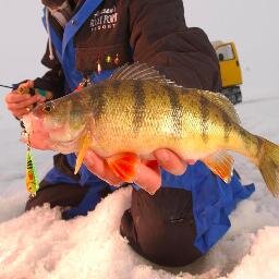 Fishing resort on Lake of the Woods. Summer and winter guided fishing. Full-service restaurant and bar.