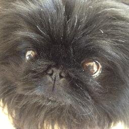 eazyD51's profile picture. Eternal optimist (the glass is actually crystal) and fan of all things sleep related, I can be found much happier than before, but not at Aria ( they're dumb).