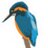 ThorneyLakes's profile image
