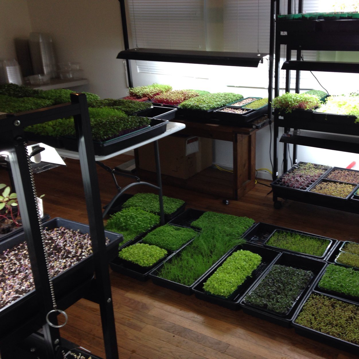 andrea_cooler's profile picture. 