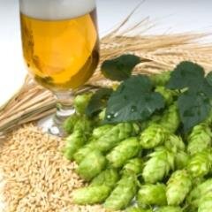 Entrepreneur, Home Brewer, Soon to have my brews in your favorite store