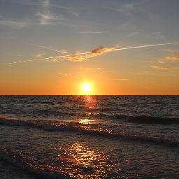 TechWizard09's profile picture. 