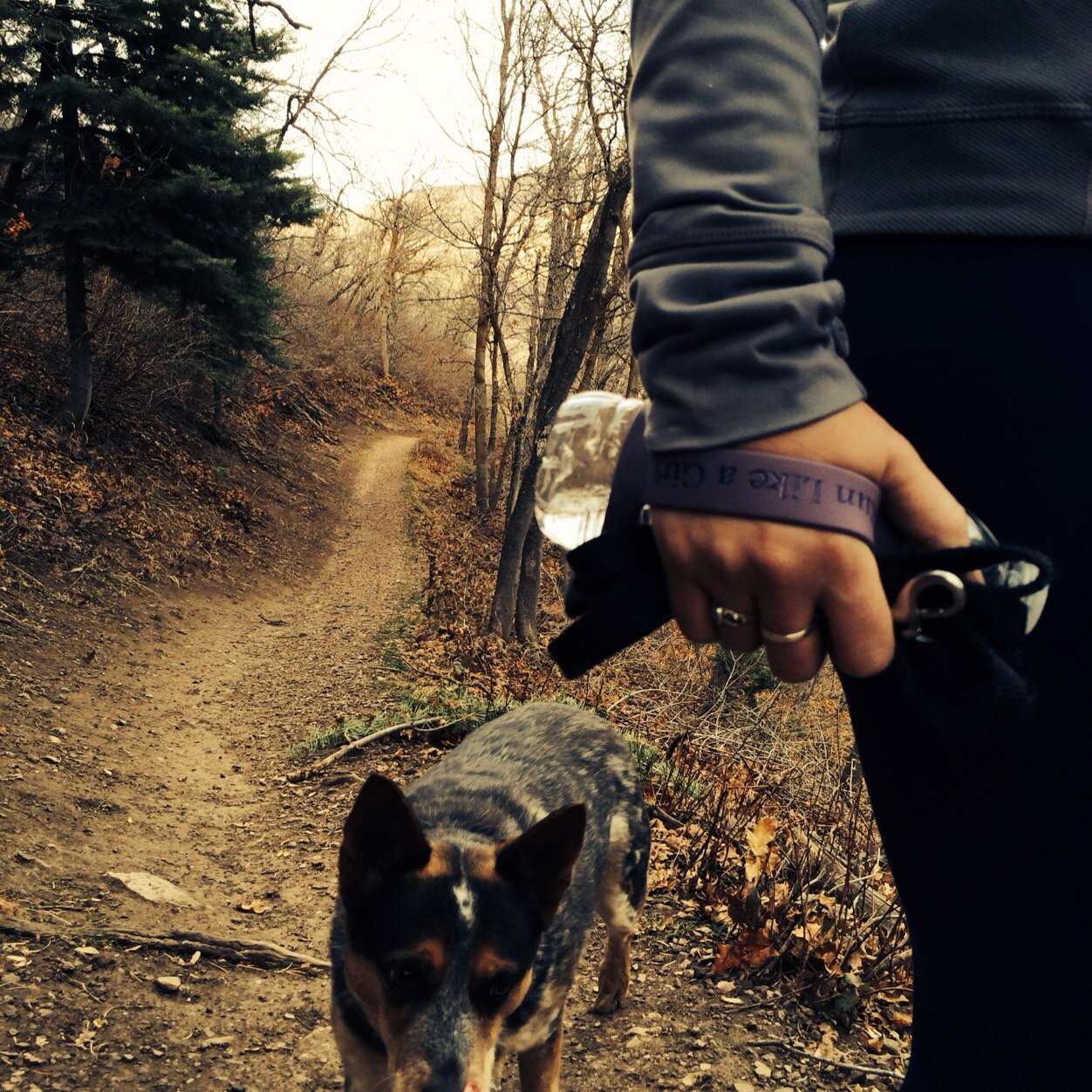 BottleBand is a handle that can fit on virtually any waterbottle. Great for running, hiking or walking.  We promote active life styles and enjoying the outdoors