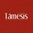 TamesisJaen's profile image
