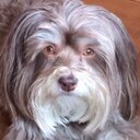 Brad Oliver - @BradTootsie - Twitter