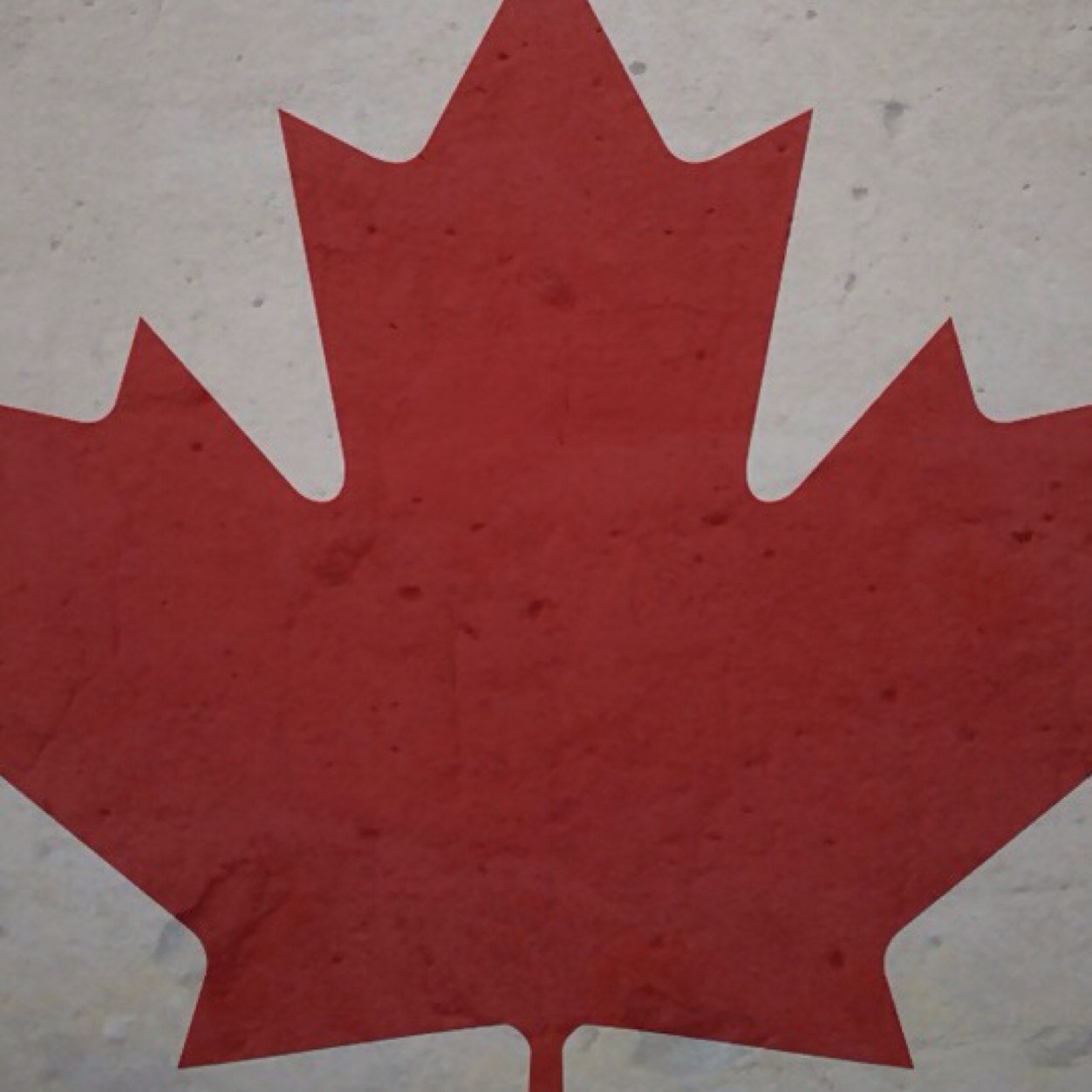 Im a hockey fan and i love all hockey teams but mostly the maple leafs! :) Im also a proud canadian and love all canadian sports to. #FollowMeIFollowYou