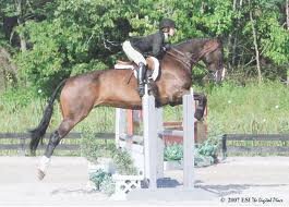 EqACompliments's profile picture. DM me compliments or any other message for all the anons out there!