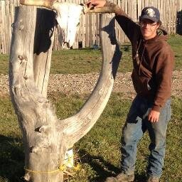 bigme691's profile picture. 