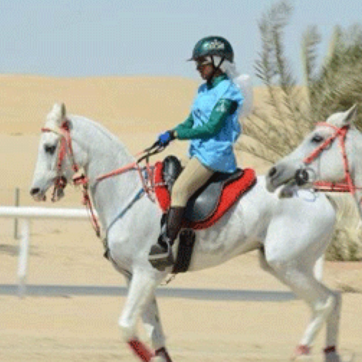 11111_s's profile picture. 