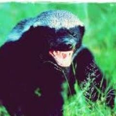 Daniel_Cole34's profile picture. 